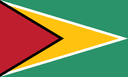 Guyana flag